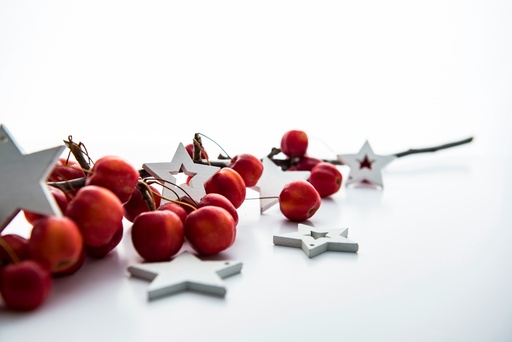 [xmas party] Christmas Party Ticket 